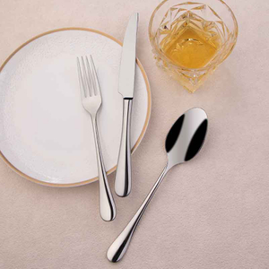 Set cuțit furculiță linguri oțel inoxidabil 304