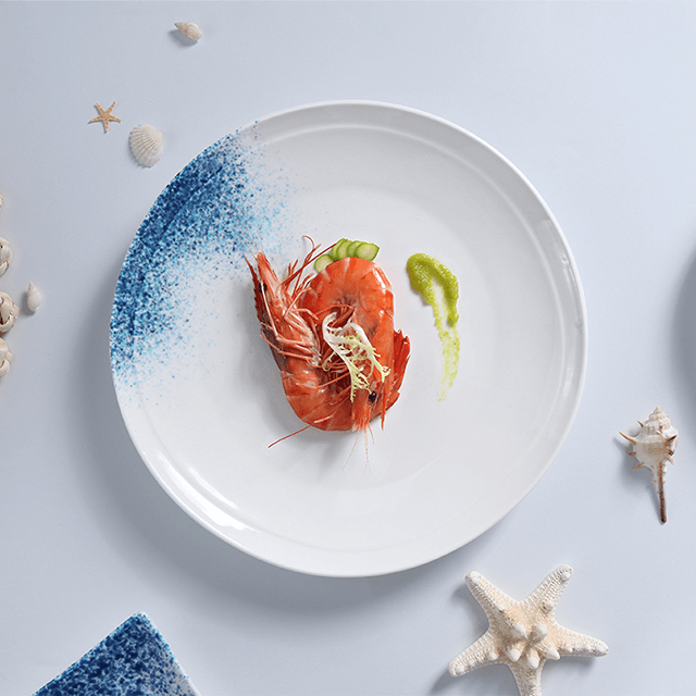 Fabrică de porțelan, aprovizionare hotelieră, set de veselă, paste, fructe de mare, farfurii, farfurii scoici, set de veselă pentru restaurant