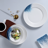 Fabrică de porțelan, aprovizionare hotelieră, set de veselă, paste, fructe de mare, farfurii, farfurii scoici, set de veselă pentru restaurant