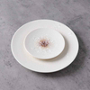 Producator de tacamuri ceramice farfurie de portelan pentru hotel