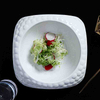 Producător de farfurii de restaurant în vrac